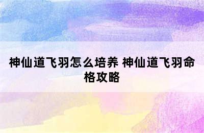 神仙道飞羽怎么培养 神仙道飞羽命格攻略